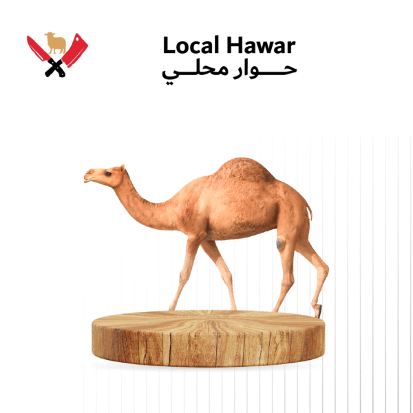 حوار محلي 04