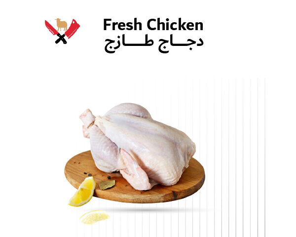 دجاج طازج 01