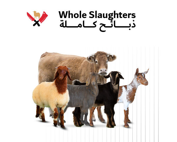ذبائح كاملة 01