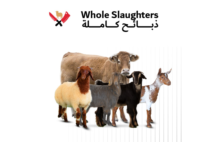 ذبائح كاملة 01