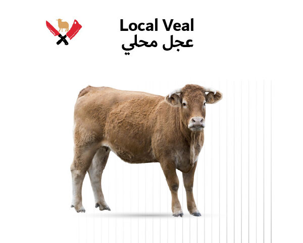 عجل محلي 01